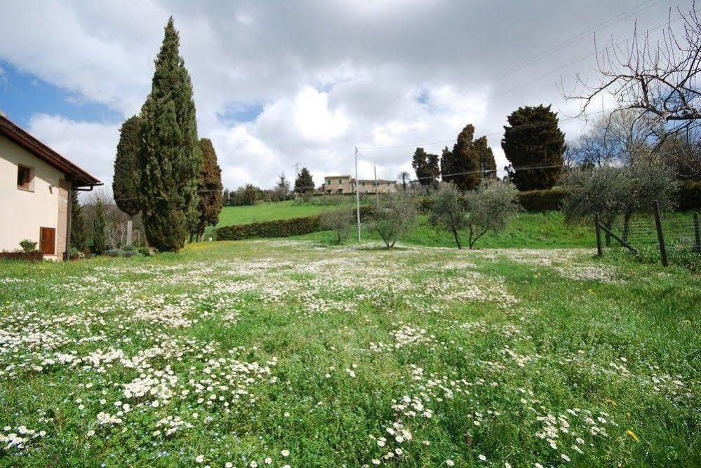 Agriturismo Villa Opera Volterra Exteriör bild